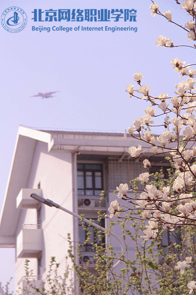 北京网络职业学院