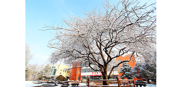 北京农业职业学院 - 最美大学