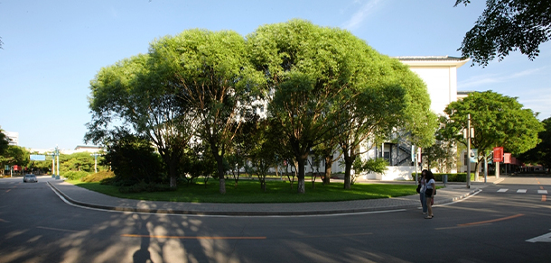 北京财贸职业学院 - 最美大学