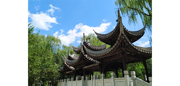 北京财贸职业学院 - 最美大学
