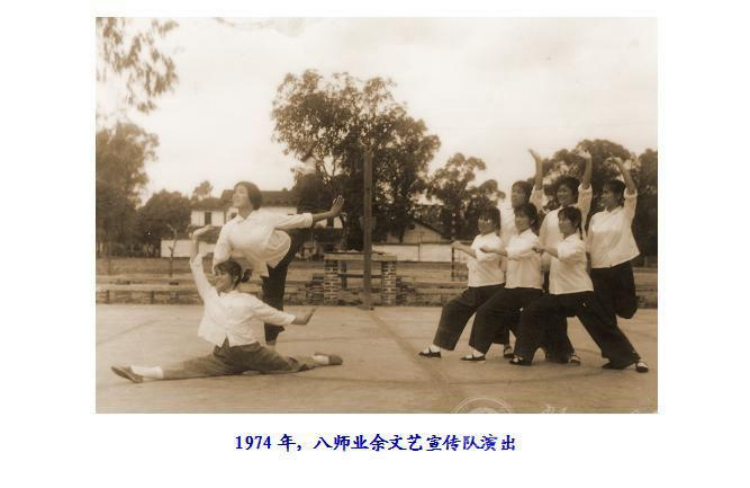 历史沿革