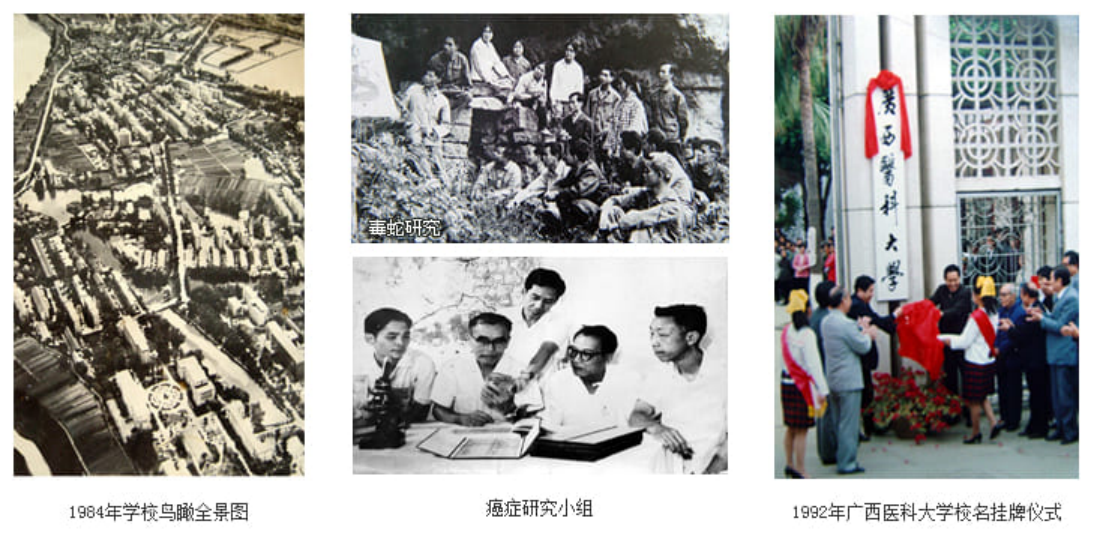 改革开放以后（1978年—2023年）