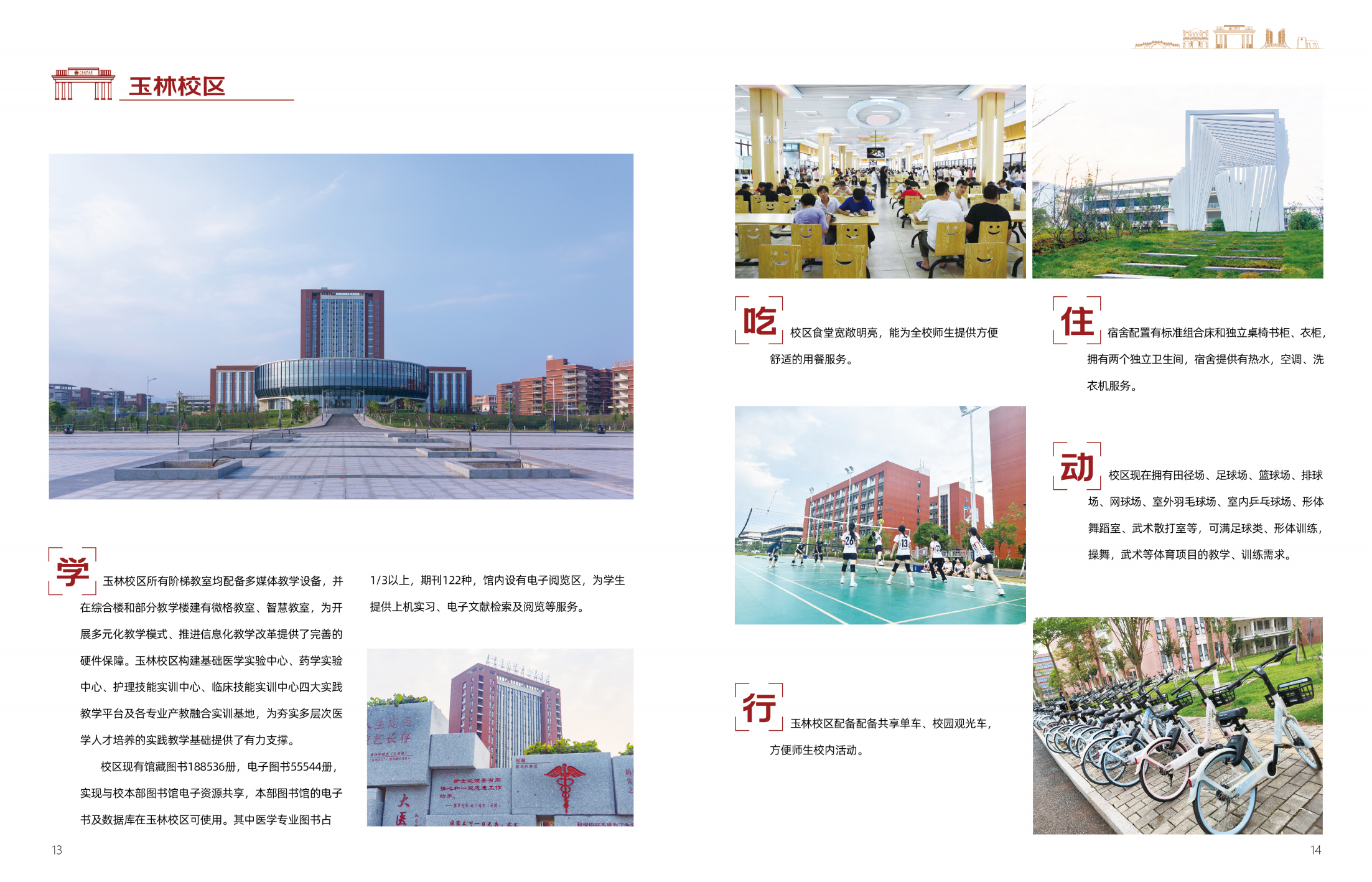 广西医科大学2025年招生简章