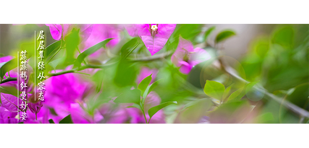 海南经贸职业技术学院 - 最美大学