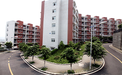 四川外国语大学 - 我的大学