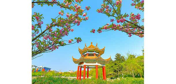 西南政法大学 - 最美大学