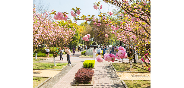 西南政法大学 - 最美大学