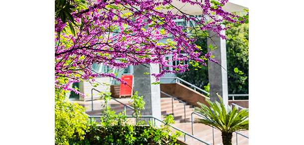 西南政法大学 - 最美大学