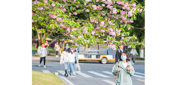 西南政法大学 - 最美大学
