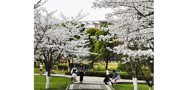 西南政法大学 - 最美大学