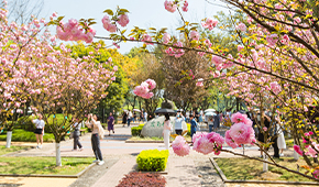 西南政法大学