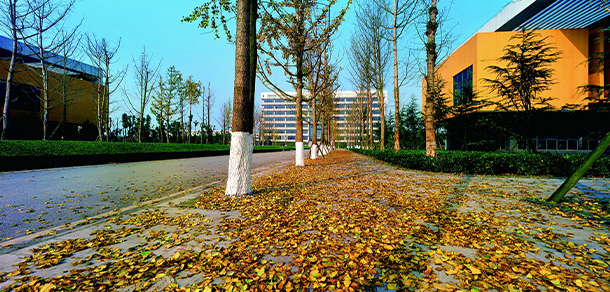 重庆科技大学 - 最美大学
