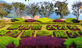 重庆机电职业技术大学