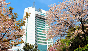 重庆邮电大学