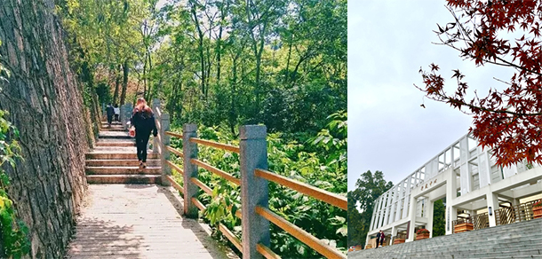 重庆人文科技学院 - 最美大学