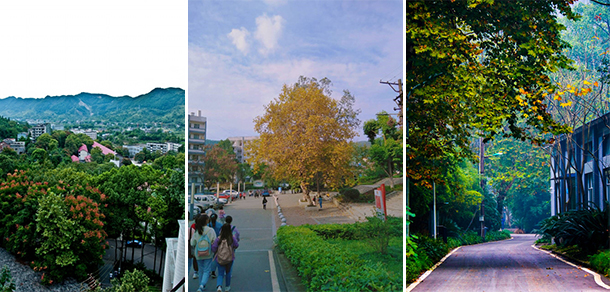 重庆人文科技学院 - 最美大学