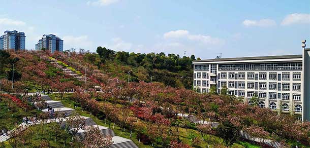 重庆外语外事学院 - 最美院校