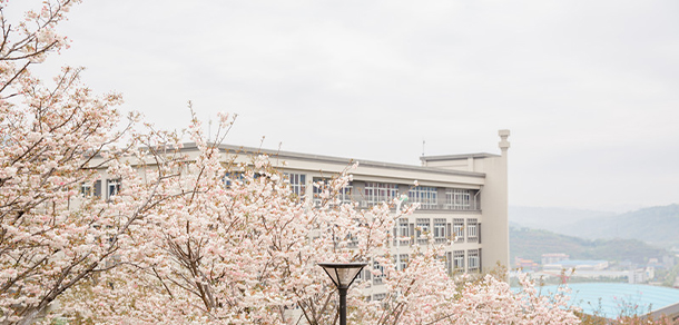 重庆外语外事学院 - 最美大学