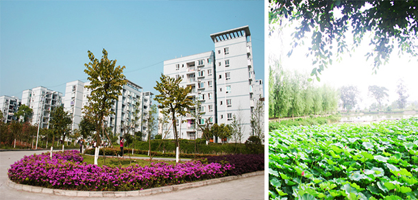 重庆对外经贸学院 - 最美大学