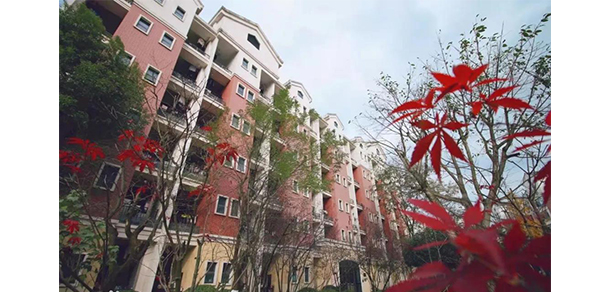 重庆财经学院 - 最美大学