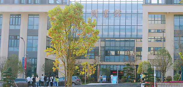 重庆移通学院 - 最美大学