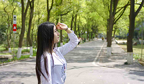 西南大学