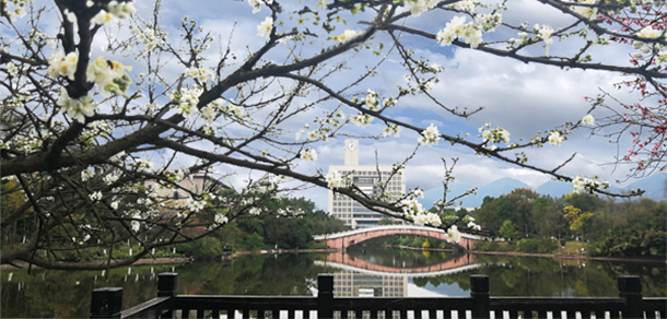 重庆师范大学 - 最美大学