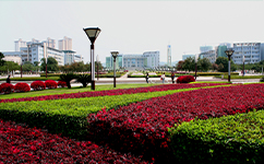 重庆文理学院 - 我的大学
