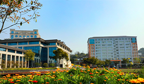 重庆大学