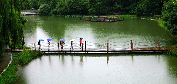 成都中医药大学 - 最美大学