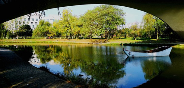 成都中医药大学 - 最美大学