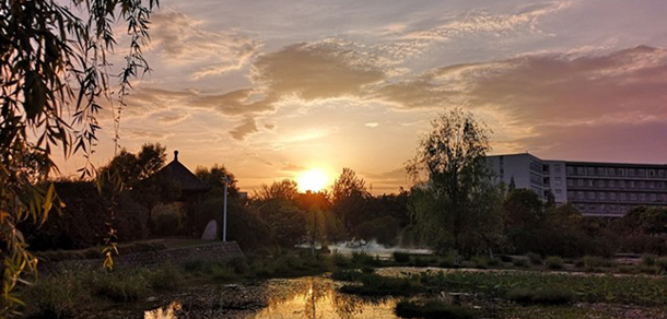 成都中医药大学 - 最美大学