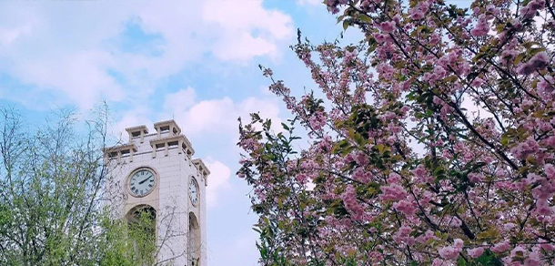 西南财经大学 - 最美大学