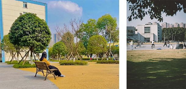 电子科技大学 - 最美大学