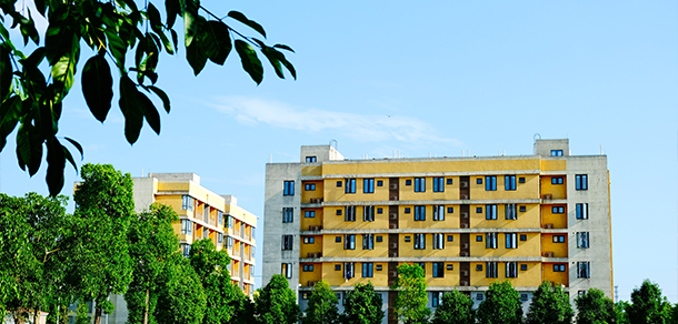 成都艺术职业大学 - 最美大学