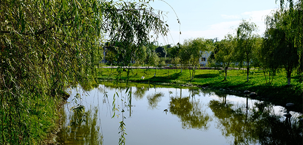 成都艺术职业大学 - 最美大学