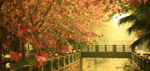 四川电影电视学院 - 最美大学