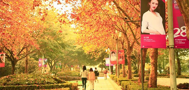 四川电影电视学院 - 最美大学