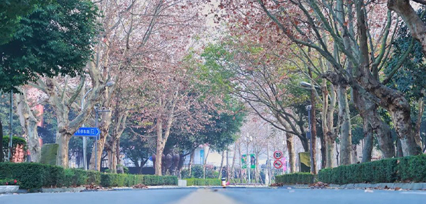 四川电影电视学院 - 最美大学