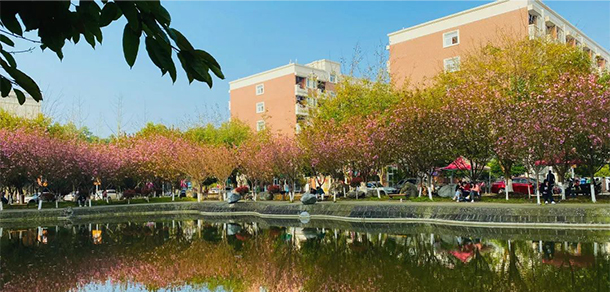 四川电影电视学院 - 最美大学