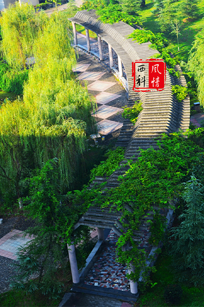 西南科技大学-流金岁月