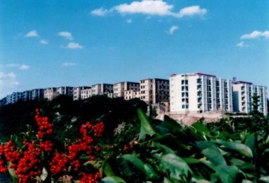 90年代校园