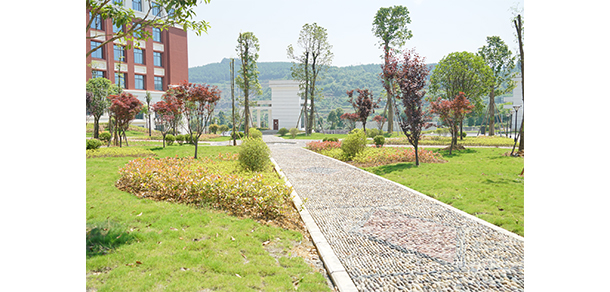 遵义医科大学医学与科技学院 - 最美大学