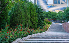 贵州医科大学神奇民族医药学院 - 我的大学