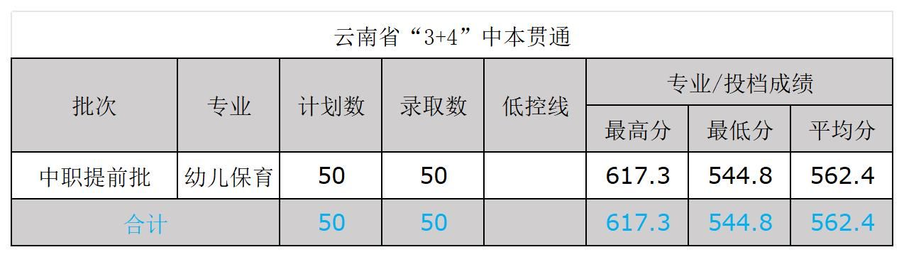 文山学院－2024年录取分数统计（云南省“3+4”中本贯通）