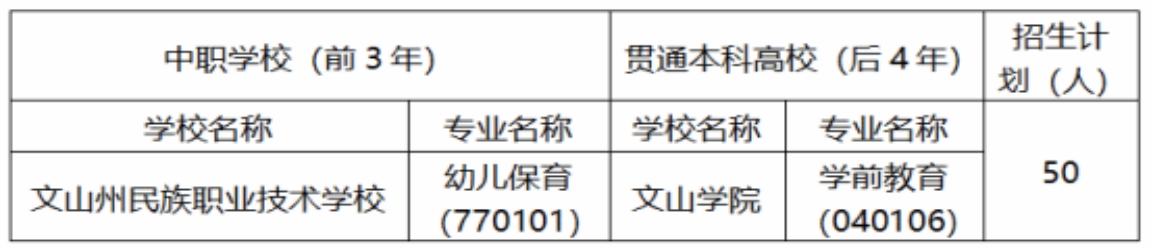 文山学院 文山州民族职业技术学校2025年“3+4”招生简章