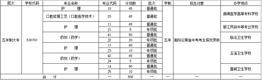 曲靖健康医学院－2021年五年制大专招生计划