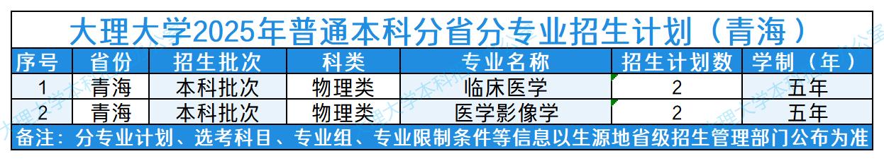 大理大学2025年普通本科分省分专业招生计划（青海）