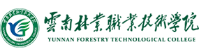 2021年-2025年高考招生资讯