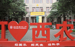 2025年强基计划招生简章